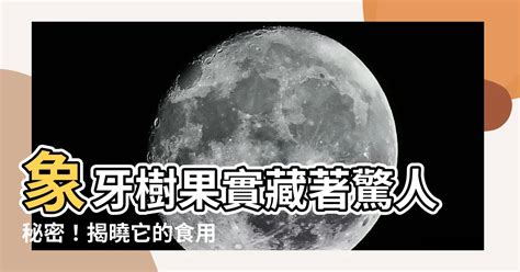 象牙樹果實可以吃嗎 五爪龍刺青